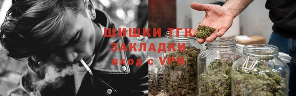 ПСИЛОЦИБИНОВЫЕ ГРИБЫ Медвежьегорск