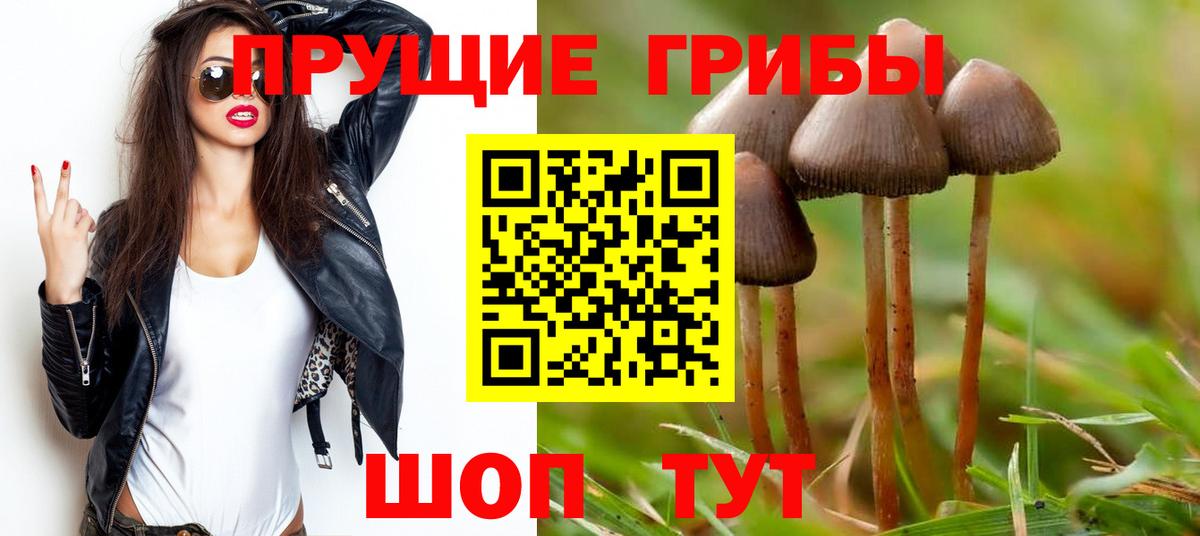 Псилоцибиновые грибы Psilocybine cubensis  Омск 